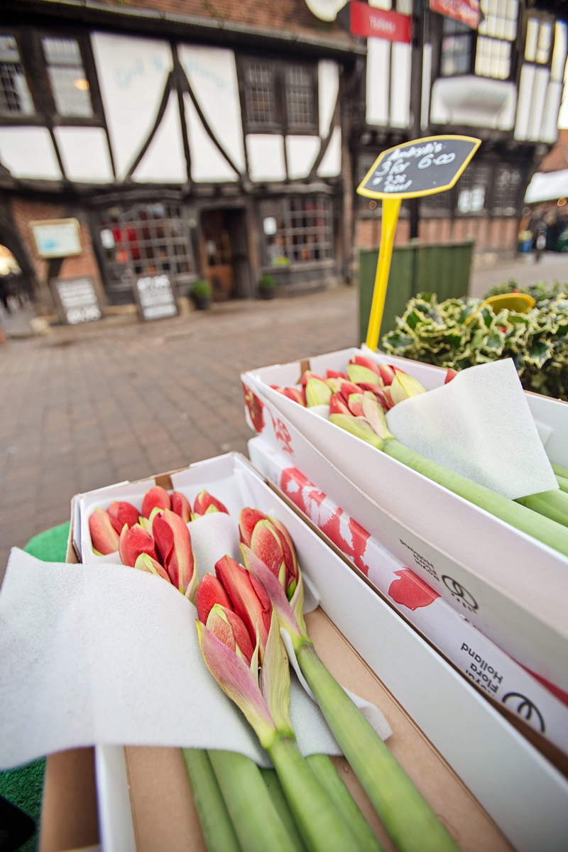 day, united kingdom, close-up, food and drink, retail, human, retail display, lotus, york, incidental people, flooring, produce, fresh flowers, shopping