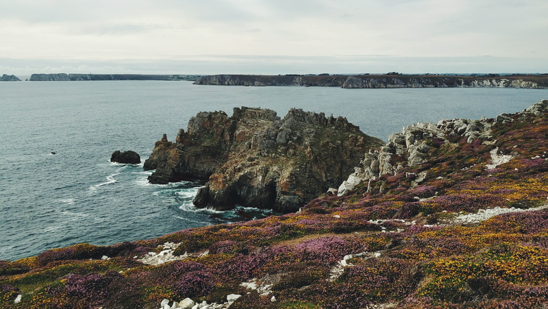 nature, cliffs, land, day, water, sky, flowers, tranquility, beauty in nature, non-urban scene, blue, landscape, vegetation, pointe de dinan, idyllic, tranquil scene