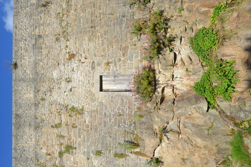 abandoned, nature, old door, built structure, outdoors, wall - building feature, plant, dinan, sunlight, rocks, wall, growth, no people, door, house, grass