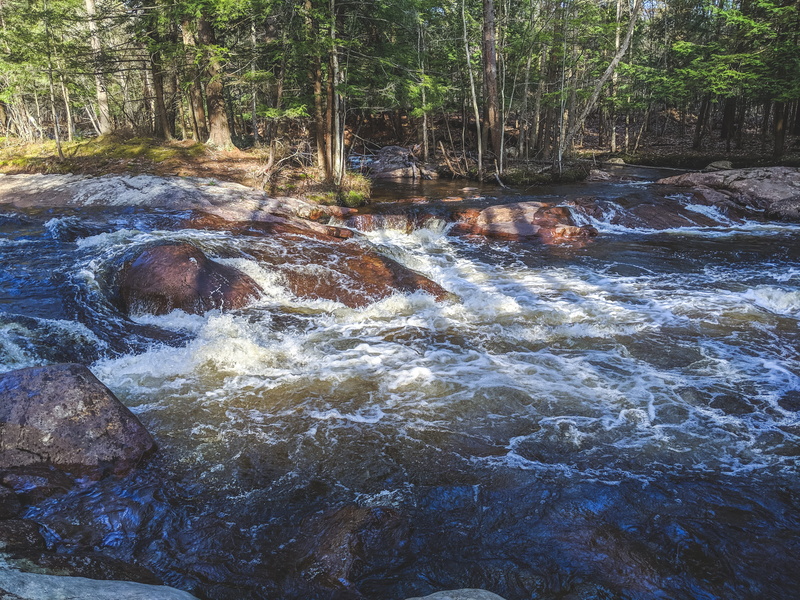 water, non-urban scene, us, beauty in nature, plant, waterfront, power in nature, cabin, outdoors, forest, day, flow, adirondack, trees, rock, scenics - nature