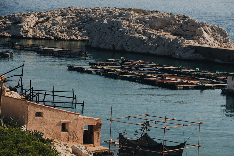 sailboat, harbor, tranquility, architecture, outdoors, boat, rock, beauty in nature, high angle view, transportation, sail, sea, rock - object, ile du frioul