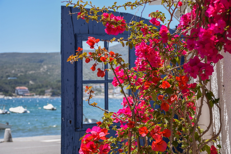 people, 4K, freshness, close-up, outdoors, growth, cadaqués, built structure, blue, nature, vulnerability, sunlight, detail, architecture, flower, no people
