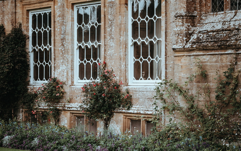 concrete, plants, frame, forde, bricks, ventana, history, window, low angle view, building exterior, closed, growth, building, wall - building feature