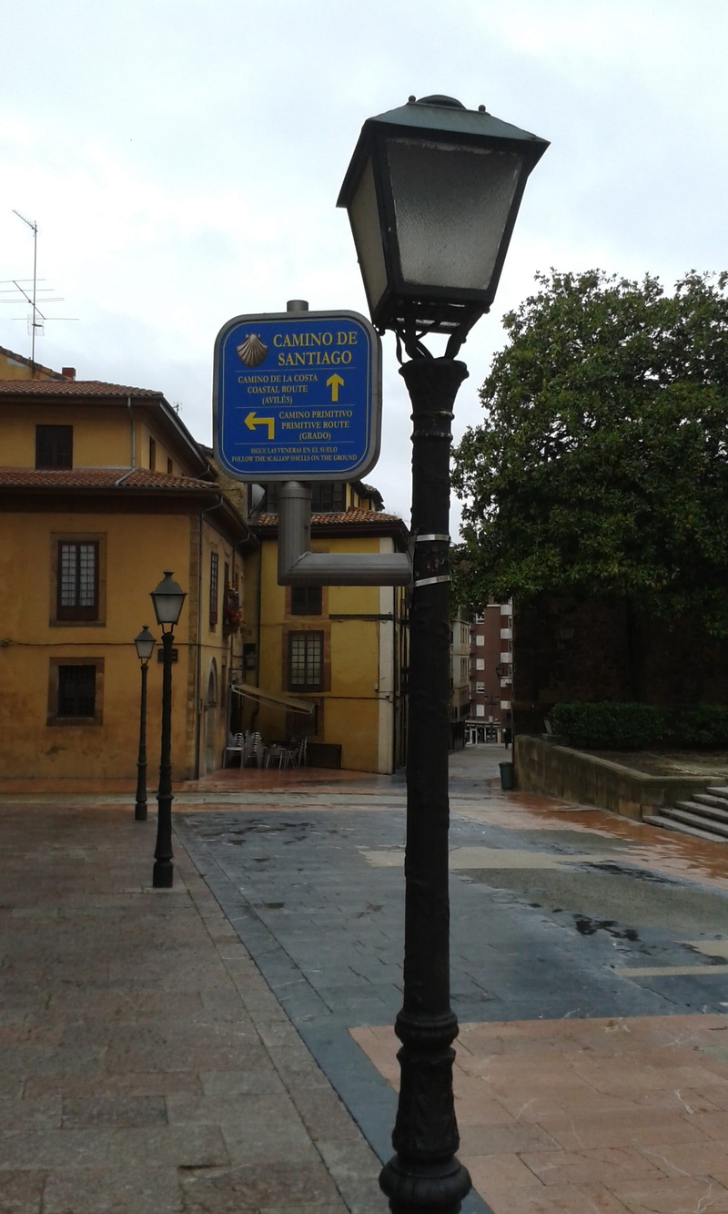 text, building, addresses, street, tree, lamp, city, Oviedo, footpath, street light, Way Of St James, western script, old town, no people, lighting equipment