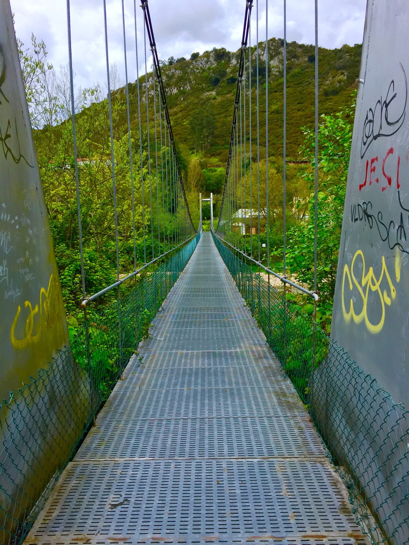 growth, tree, text, communication, oviedo, plant, diminishing perspective, bridge - man made structure, 2K, river, the way forward, las caldas, built structure