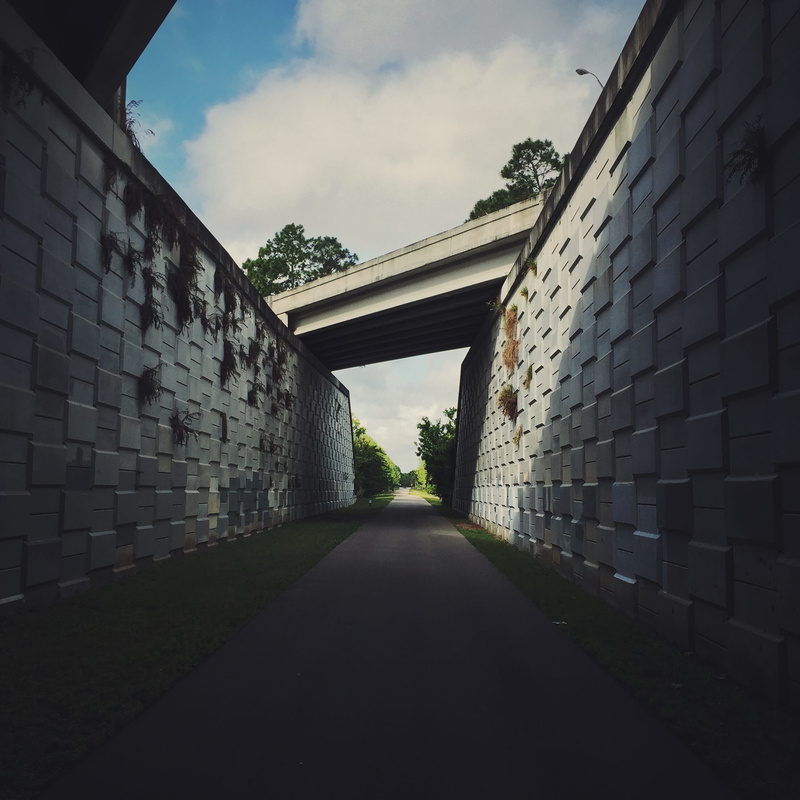 building, oviedo, nature, diminishing perspective, architecture, building exterior, brick wall, the way forward, footpath, united states, outdoors, direction