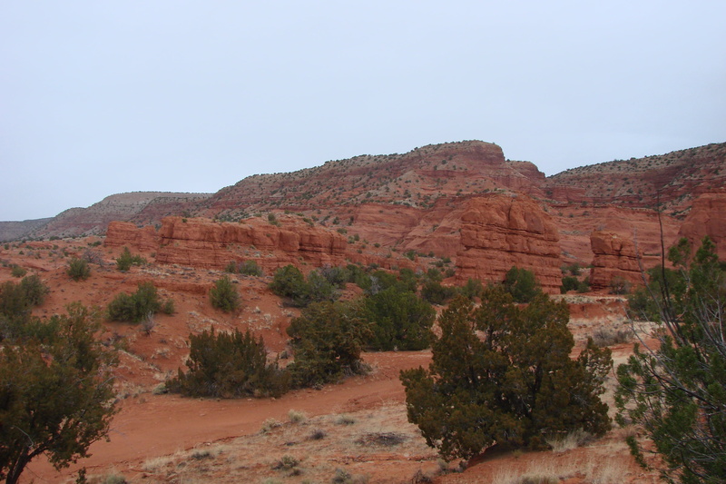 plant, jemez, land, tranquil scene, scenics - nature, tree, semi-arid, rock - object, non-urban scene, desert, sky, ancient civilization, solid, sandstone