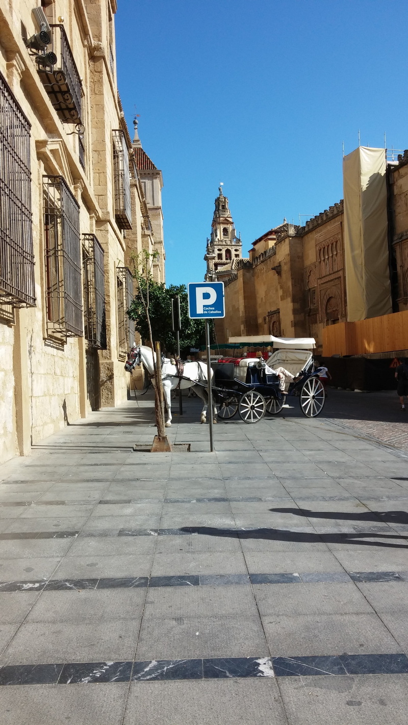 clear sky, paving stone, building exterior, real people, sunlight, spain, buggy, day, city, transportation, nature, building, incidental people, ride, horse