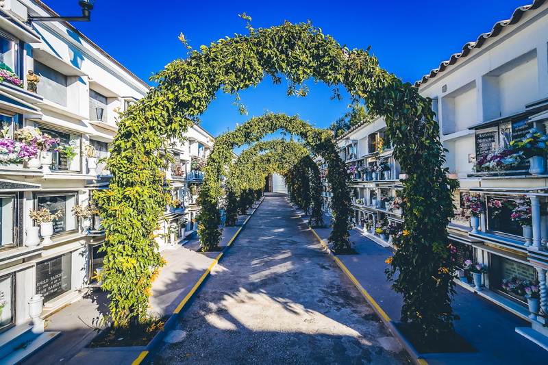 tree, nature, residential district, sky, building exterior, spain, architecture, plant, diminishing perspective, city, sunny, the way forward, direction