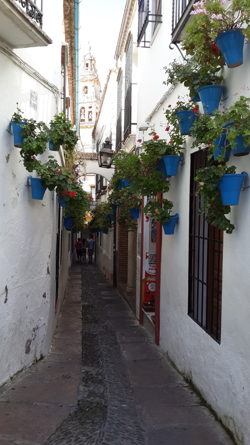 architecture, spain, house, nature, the way forward, building exterior, diminishing perspective, mijas, 4K, footpath, plant, residential district, incidental people