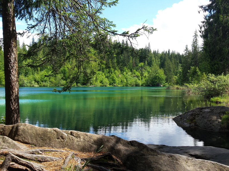 outdoors, crestasee, nature, grison, gasthaus crestasee, scenics - nature, water, 4K, switzerland, trin, tranquil scene, land, lake, tranquility, forest