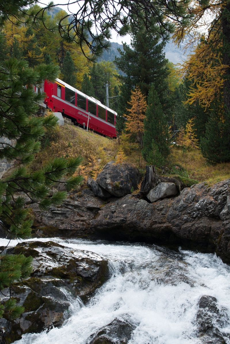 autumn, graubünden, beauty in nature, day, bach, plant, bridge - man made structure, bridge, tree, motion, scenics - nature, mode of transportation, water