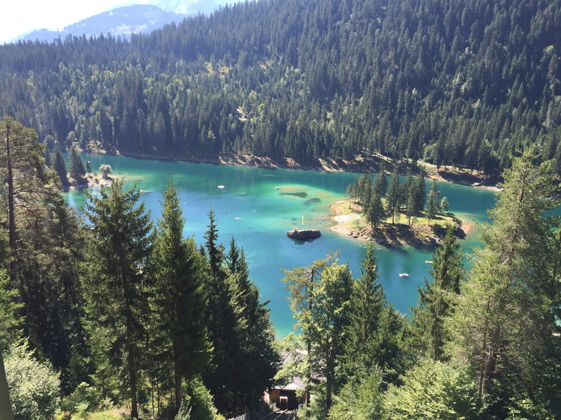 wild lake, high angle view, rest, scenics - nature, coniferous tree, day, tranquility, land, gaumasee, 2K, mood, autumn, graubünden, alpine, landscape