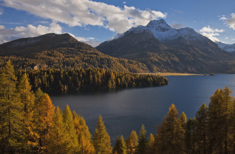 tranquil scene, forest, autumn, sky, 1080P, lake, non-urban scene, mountain, idyllic, remote, nature, change, The Sils im Engadin, no people, Lake Sils