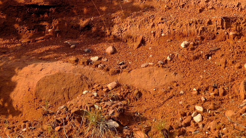 backgrounds, scree, field, sunlight, arid Climate, environment, Sand, palatinate, rock - object, red sandstone, dirt, mud, outdoors, semi-arid, solid, desert