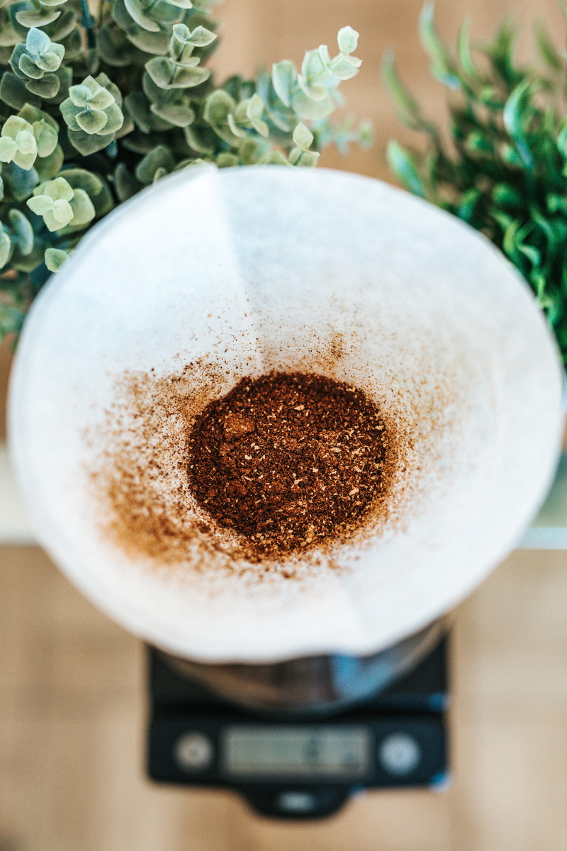 latte, mug, filter, paper, plant, frothy drink, leaf, food, crockery, photo, food and drink, coffee, selective, focus on foreground, ground coffee, no people