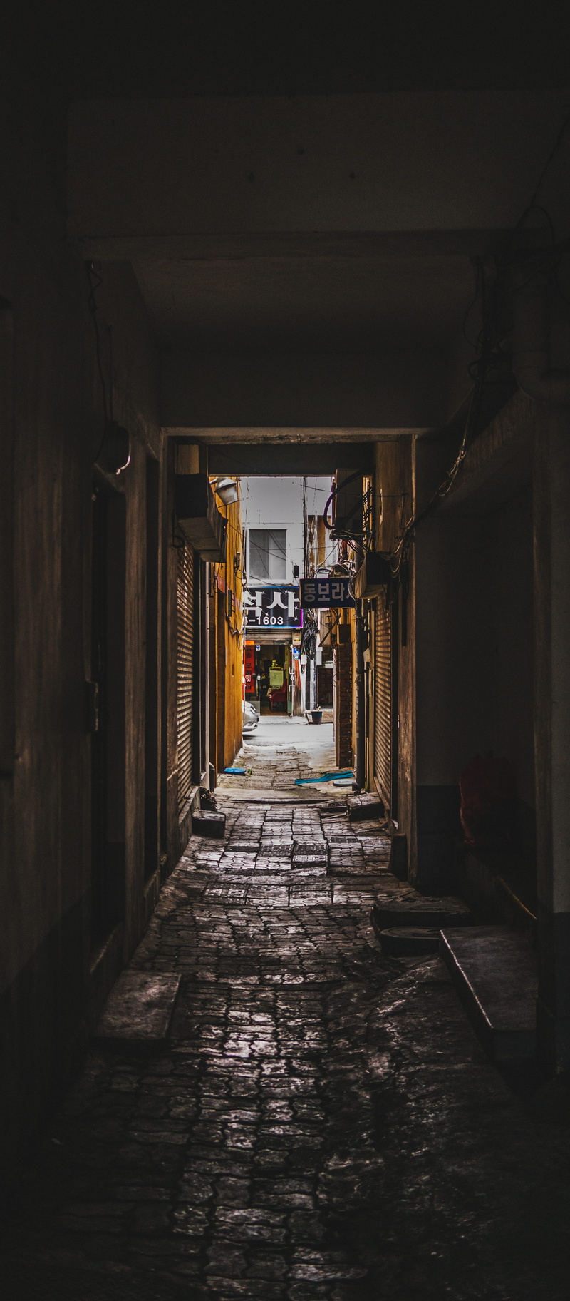 cobbles, alleyway, 대전역, door, dirty, old, street, corridor, empty, sign, alley, old-fashioned, architecture, building Exterior, night, outdoors, built Structure