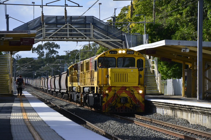 tree, diesel, public transportation, locomotive, station, train, ipswich, nature, australia, rail transportation, railway, sunlight, arrival, transportation