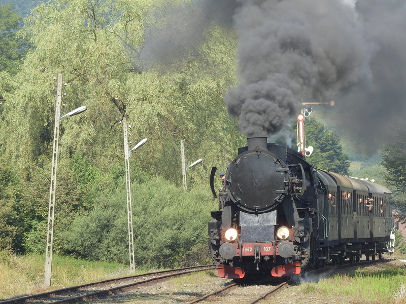 smoke, nature, tree, train - vehicle, smoke - physical structure, air pollution, mode of transportation, railroad track, steam train, aggression, steam