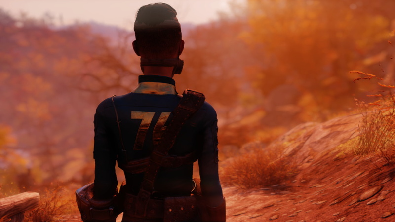 1080P, Vault Dweller, Fallout 76, Fallout