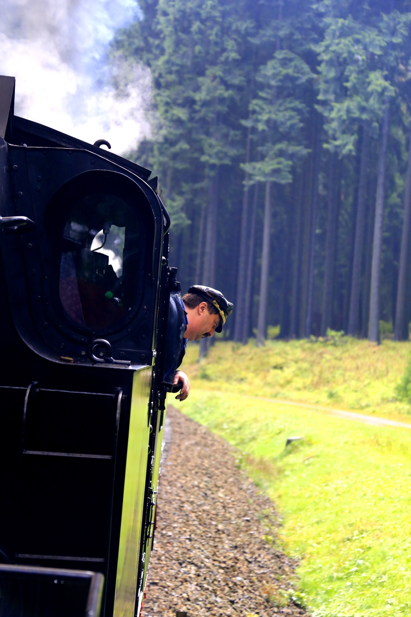 real people, men, nature, narrow-gauge railway, chemnitz, lifestyles, camera - photographic equipment, locomotive, old train, photography themes, plant