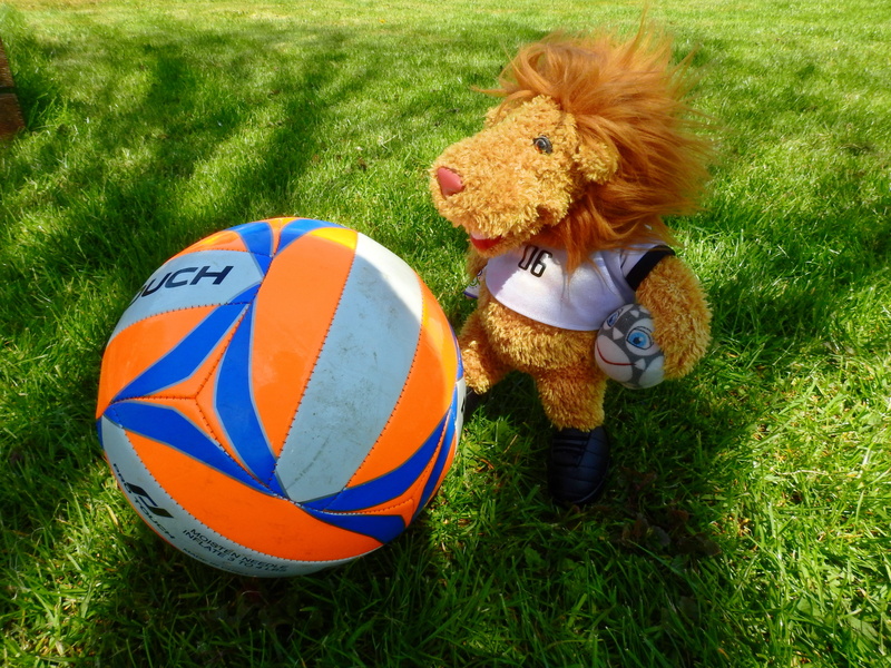 stuffed animal, day, football, leisure, land, soccer, one person, play, 4K, mascot, toys, child, rush, real people, playing, sport, children, high angle view