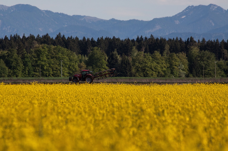 landscape, agricultural operation, Agricultural, cultivation, arable, plant, industry, yellow, summer, non-Urban Scene, nature, harvest, beauty in nature