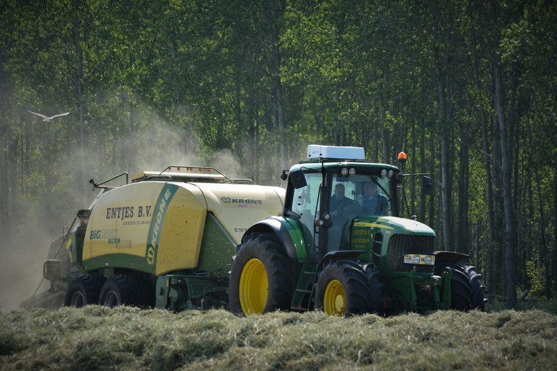 green color, day, hay bales, no people, tree, field, agricultural machine, wage operating, farm, stationary, harvester, machinery, netherlands, plant, land vehicle