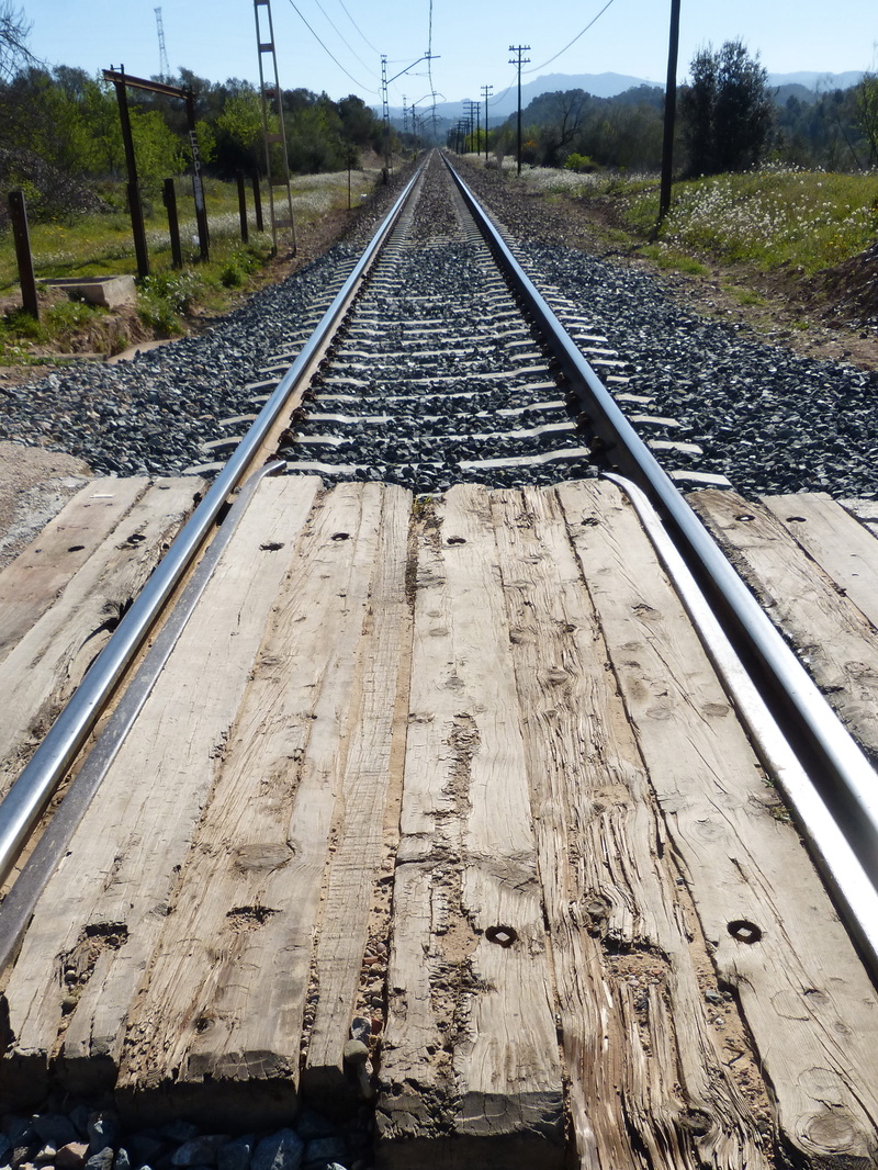 track, transportation, to train, railroad track, rail, the way forward, no people, gravel, perspective, day, vanishing point, plant, outdoors, parallel