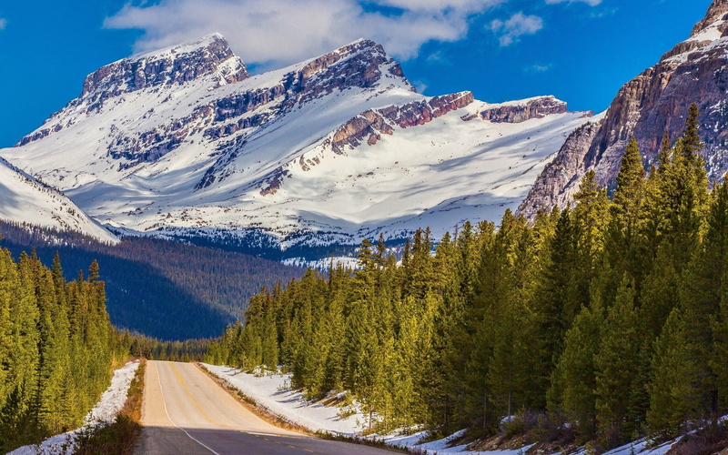 plant, mountain, snow, tranquil scene, tranquility, 1080P, winter, mountain peak, road, environment, scenics - nature, mountain range, tree, pine woodland