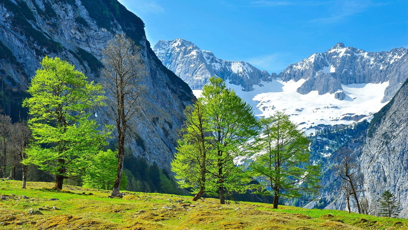 tranquil scene, trees, outdoors, day, beauty in nature, winter, mountain peak, tree, sky, idyllic, environment, Alps, green, pine tree, 1080P, coniferous tree