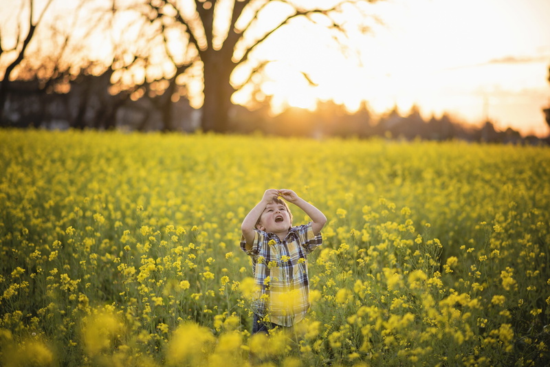 yellow, girls, childhood, Flower, portrait, rural scene, child, front view, beauty in nature, hair, offspring, one girl only, bright, Yellow, blossom, Mustard