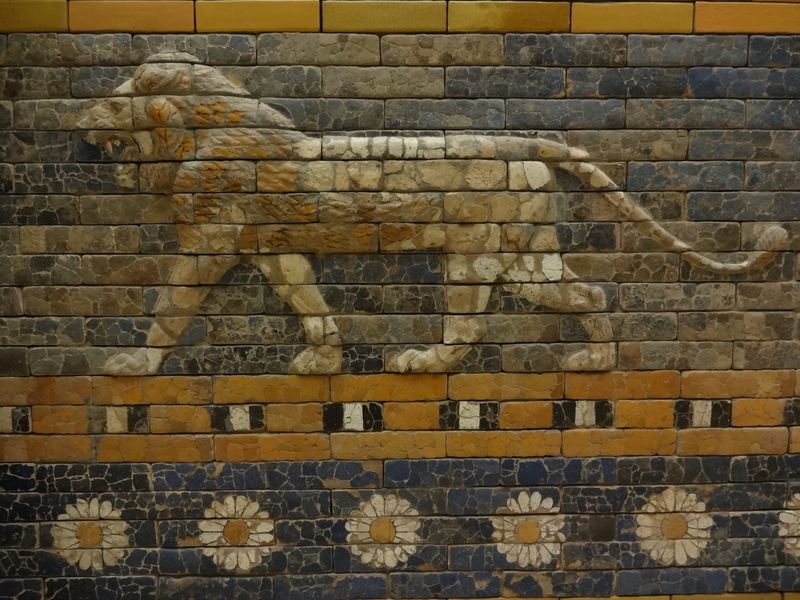 wall, close, low angle view, mammal, domestic animals, al, outdoors, building exterior, daisy, stone, day, wall - building feature, berlin, brick, flower