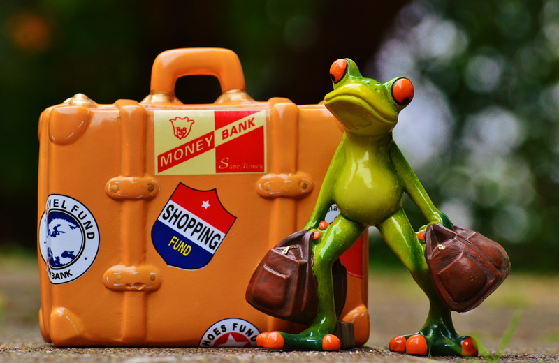 funny, 4K, retail, food, cute, no people, yellow, vegetable, group of objects, eyed, focus on foreground, travel, multi colored, text, mustard, holiday