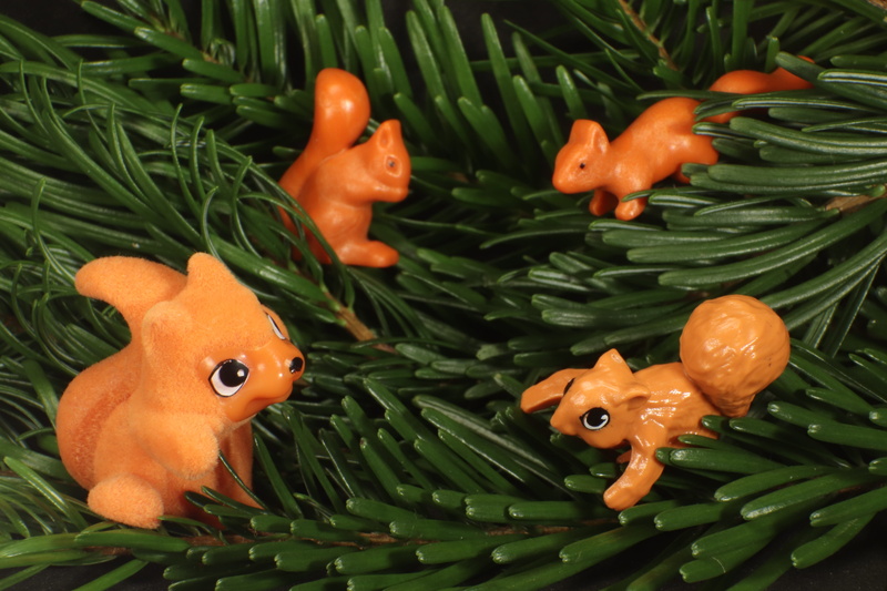 animal world, freshness, indoors, orange, branch, representation, toys, food, no people, vegetable, rodent, pine needles, animal, green, nest, forest, 5K
