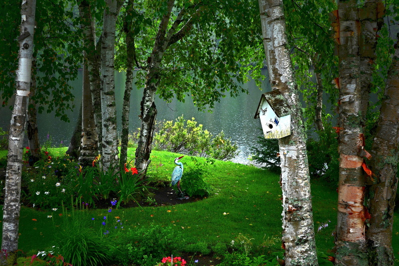 leaves, animal wildlife, animal, animal themes, plant, tree, trees, outdoors, bird, birch, flowers, green color, no people, vertebrate, day, landscape