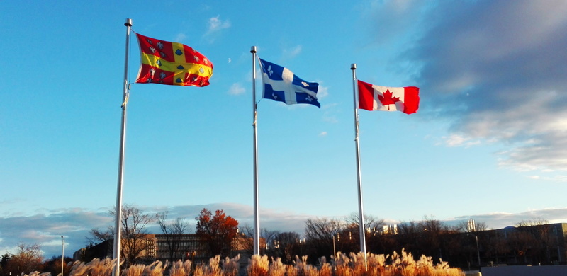 Leaf, maple leaf, tree, pole, cloud - sky, red, plant, Flag, 4K, Québec, pride, nature, outdoors, country, patriotism, environment, sky, wind, Background