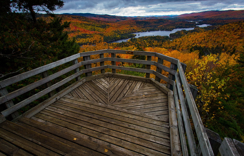 land, day, outdoors, lake, nature, 4K, high angle view, built structure, architecture, québec, autumn, tree, wood - material, tranquility, environment