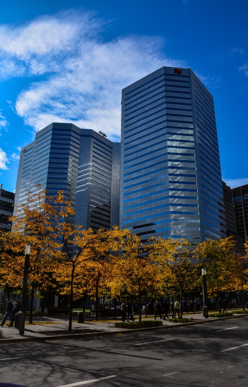 landscape, architecture, tree, office, color, montréal, fall, 5K, no people, trees, day, autumn, canada, building, city, financial district, plant, outdoors