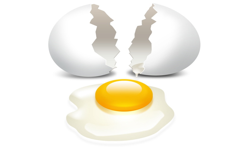 white color, meal, breaking, freshness, egg yolk, still life, healthy eating, shell, studio shot, Food, food and drink, vulnerability, breakfast, indoors
