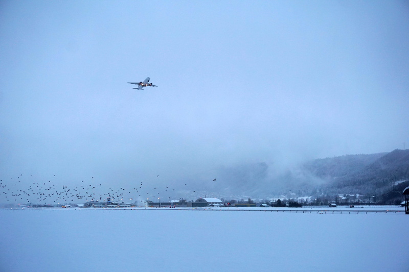 sky, austria, sea, mode of transportation, no people, flying, 5K, mid-air, transportation, outdoors, aerospace industry, day, water, Winter, scenics - nature