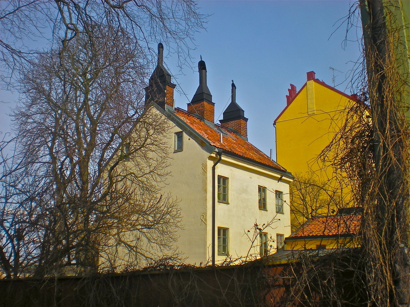 plant, no people, branch, old, belief, outdoors, 2K, sky, bare tree, house, tree, architecture, nature, spire, building exterior, kattgränd, the past