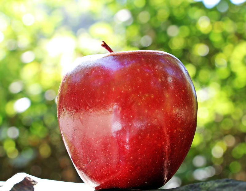 red chief, photo, snow white, healthy eating, sweet, close-up, bless you, vitamins, red apple, coloring group a, fruity, ripe, red, pome fruit, green color