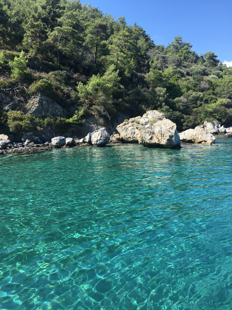 plant, green, beauty in nature, blue, tree, turquoise colored, 4K, outdoors, solid, turkey, clean, marmaris, purity, rock - object, view, no people, scenics - nature