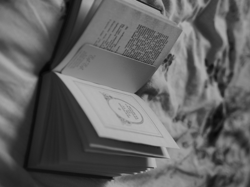 close-up, paper, flyer, black, whit, file binder, book, poster, arts culture and entertainment, mail, still life, selective focus, grey, script, western script