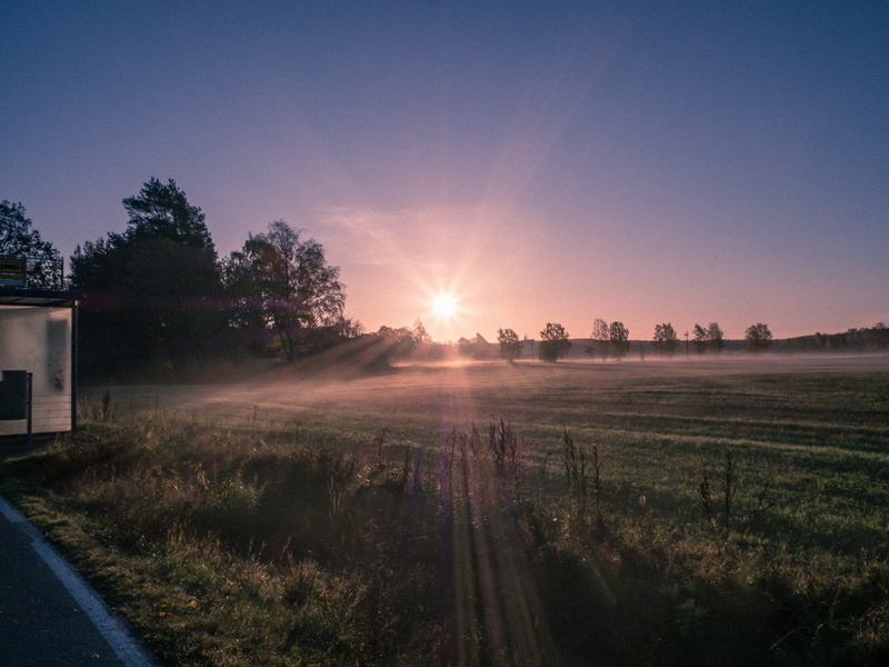 sunlight, no people, sun rays, outdoors, sunbeam, tree, sunrise, tranquil scene, sky, sunset, finland, bright, lens flare, environment, grass, beauty in nature