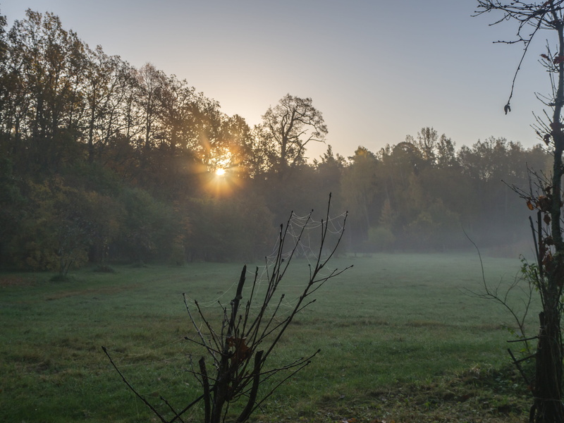 idyllic, fog, scenics - nature, lens flare, tranquility, ruissalo, growth, sky, sunbeam, 4K, sunrise, sun rays, nature, land, beauty in nature, finland