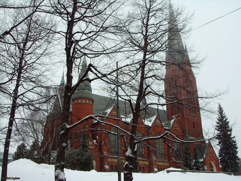 outdoors, snowing, built structure, plant, architecture, turku, building, suomi, finland, nature, bare tree, winter, day, low angle view, tree, branch