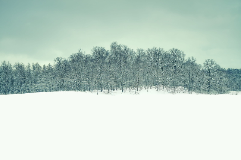 fantasy, Forest, snowfield, snowing, weather, tranquil scene, countryside, turku, idyllic, nature, photo, tranquility, cold, beauty in nature, snowdrift