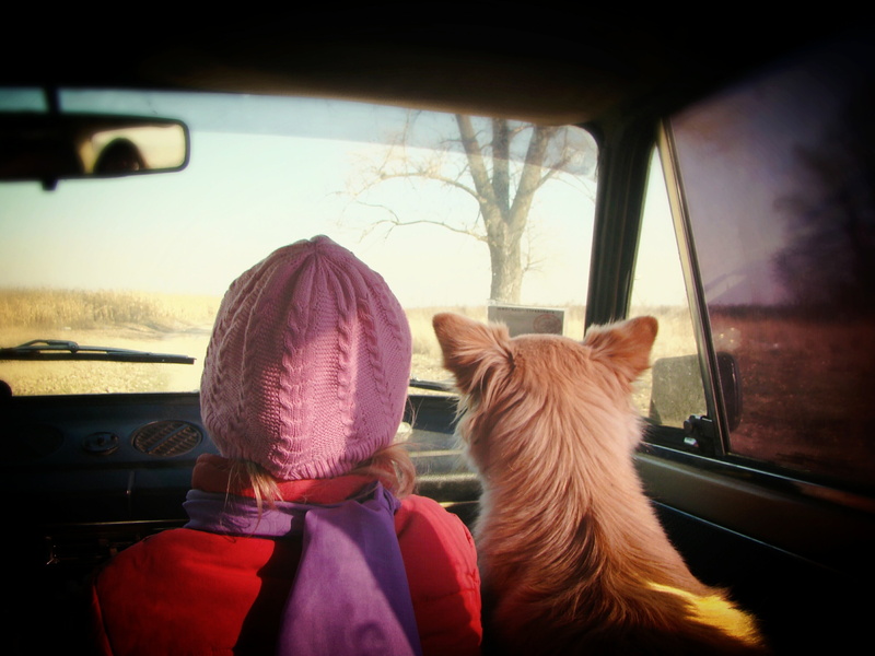 baby, mammal, dog, outdoors, machine, vehicle interior, girl, looking through window, mode of transportation, old, headshot, passenger, children only, sitting